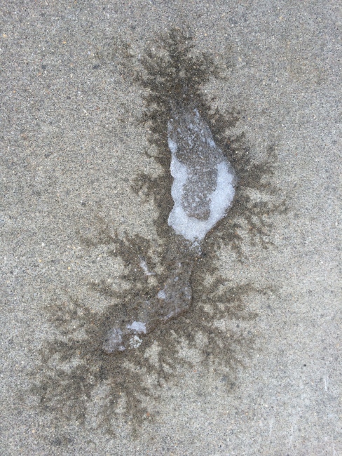 frost from the melting snow
